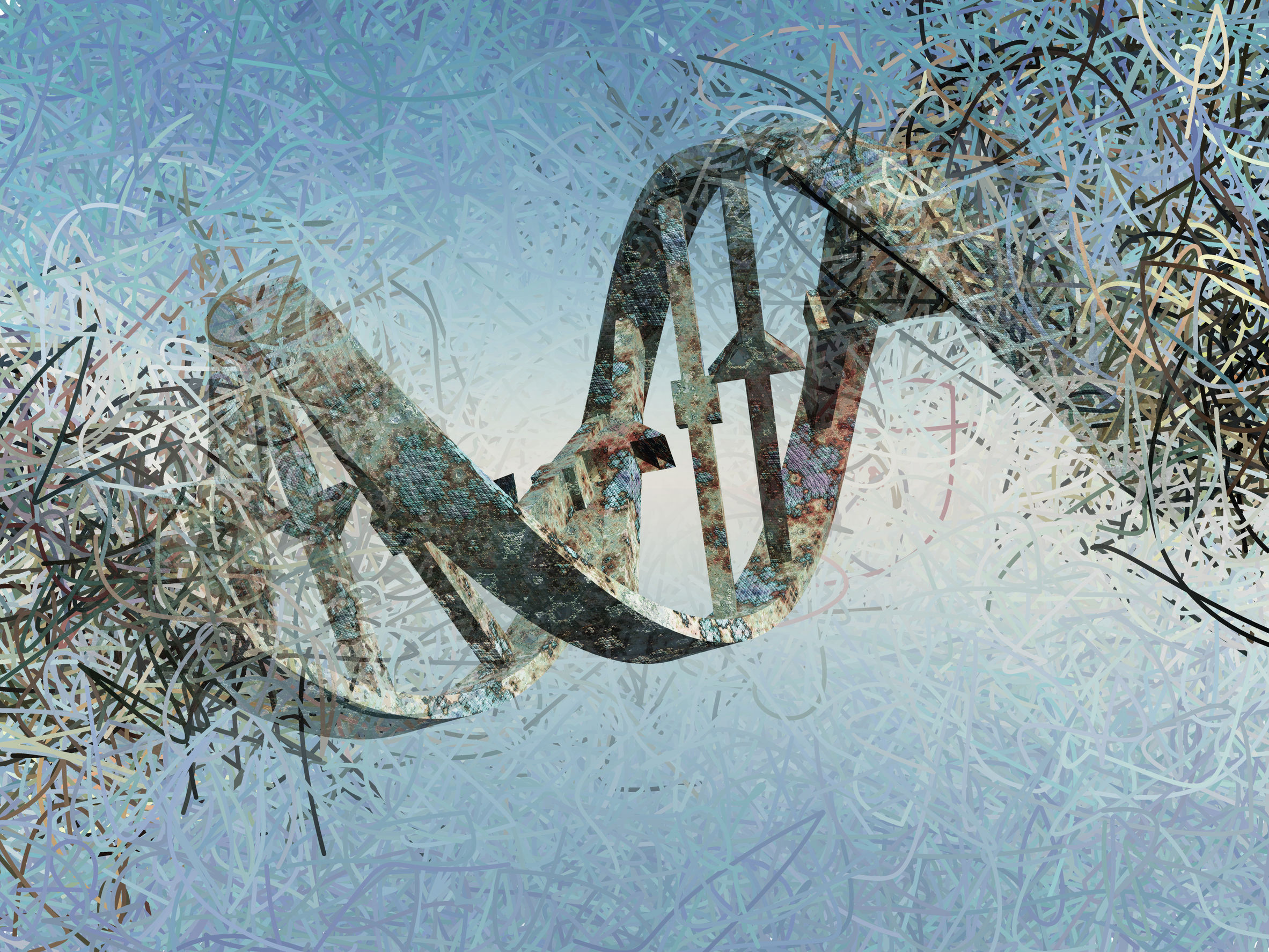 Reversing damage to DNA in chronic illness and fertility