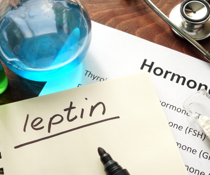 Leptin The Hunger Hormone