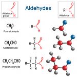 The Common Link Between Candida, Alcohol and Multiple Chemical ...