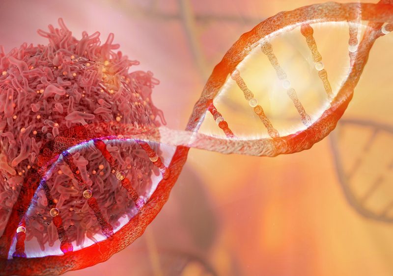 Cancer, oncology and DNA