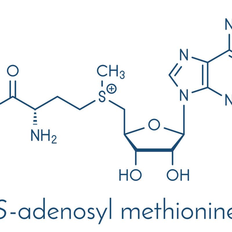 S Adenosyl,methionine,(sam),molecule.,essential,in,several,metabolic,pathways.,often