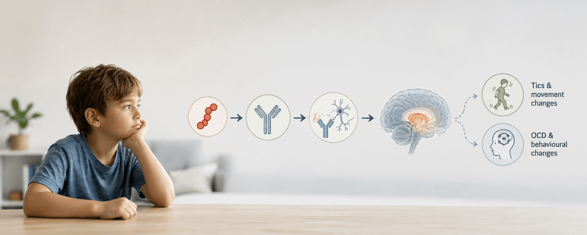 PANDAS, the Basal Ganglia, and Look-Alike Symptoms
