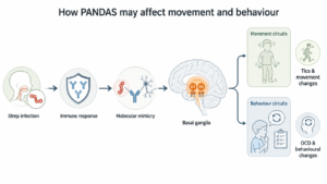 Pandas and behaviour