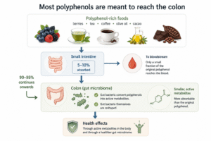 Polyphenols