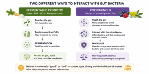 Prebiotics vs Polyphenols