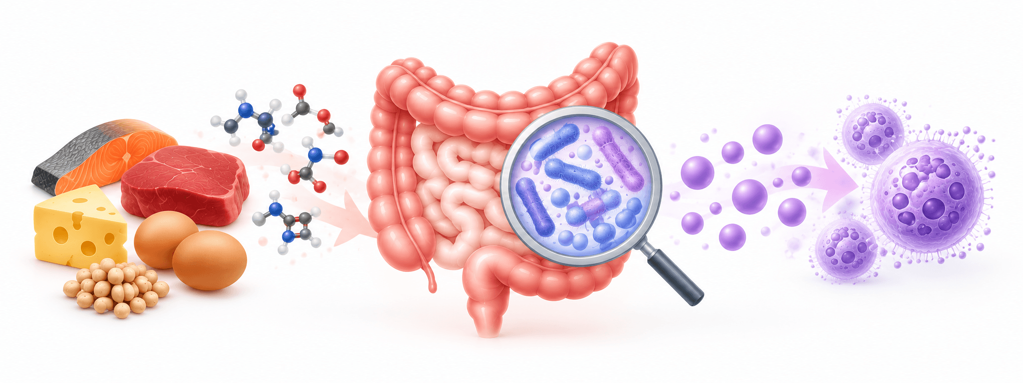 Why Do Probiotics Make My Histamine Symptoms Worse?