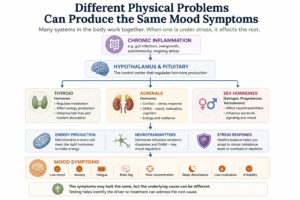 Brain and hormone connection