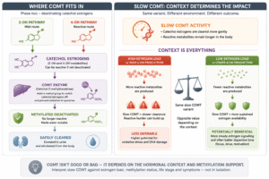 Estrogen and COMT