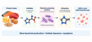 Gut histamine production