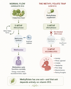 Methyl folate trap explained
