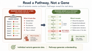 Read a pathway, not a gene